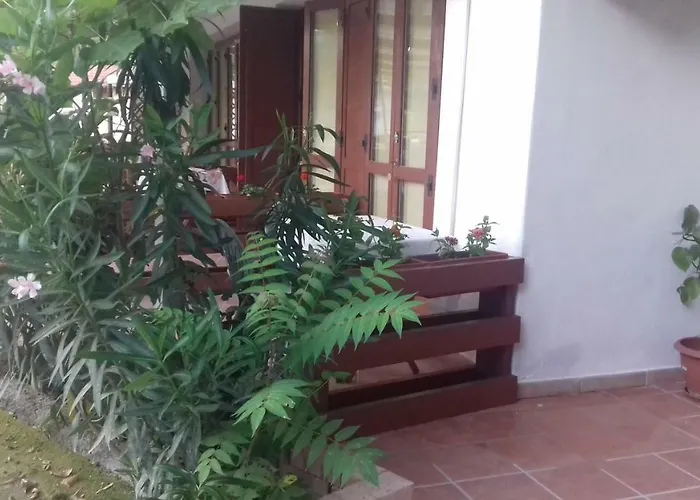 Bed and Breakfast A Casa di Nené Palinuro
