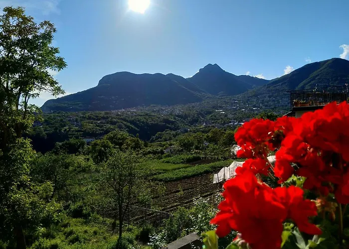 Jerula B&B Agerola