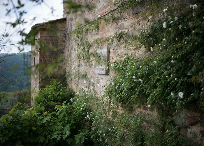 La Canonica Di Nusenna Gaiole in Chianti