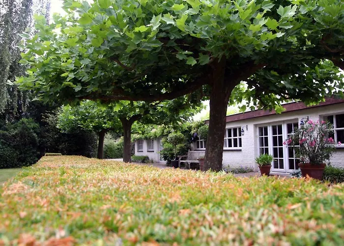 Villa Pura Vida Cortrique