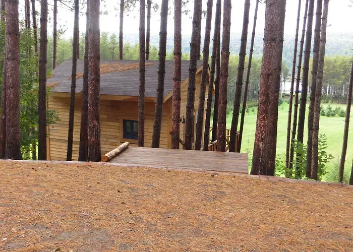 La maison sous les arbres Saint Roch de Mekinac