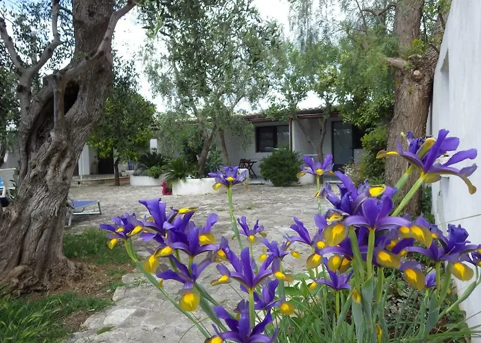 Masseria Liberatore