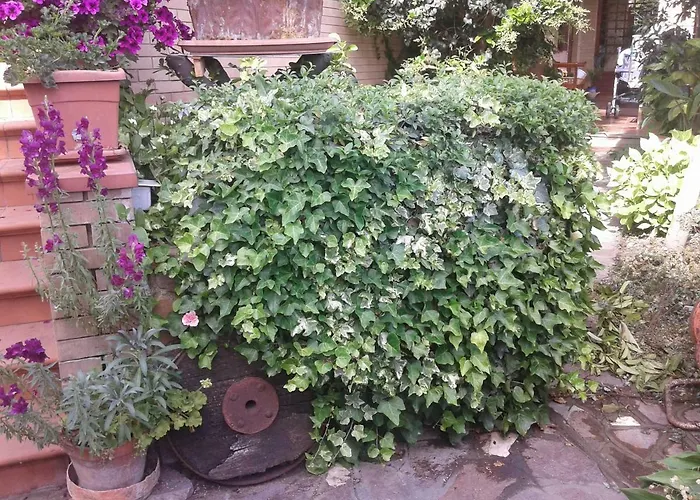 Bed And Breakfast Europe Molino Ciccolini