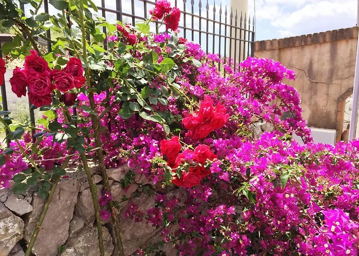 B&B Terre Di Sicilia Giardini Naxos