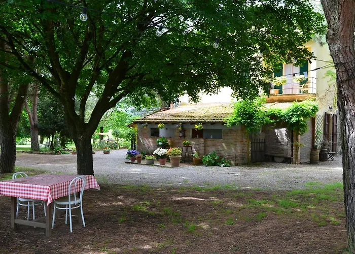 Campo Alle Monache Bucine