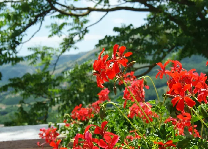 B&B Il Querceto Muro Lucano