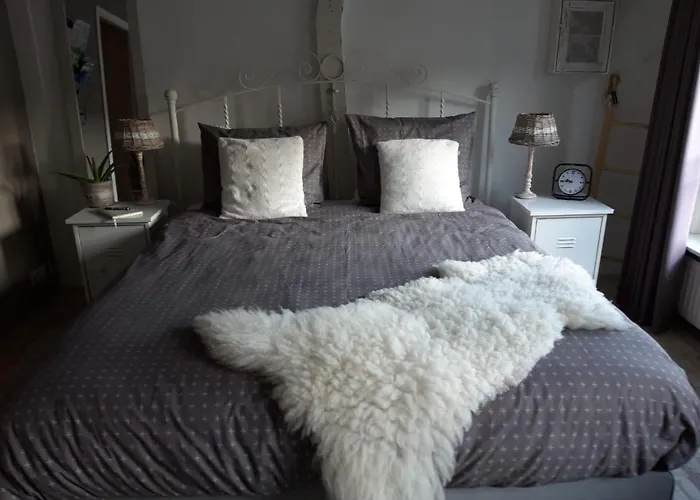De Slapende Leeuw