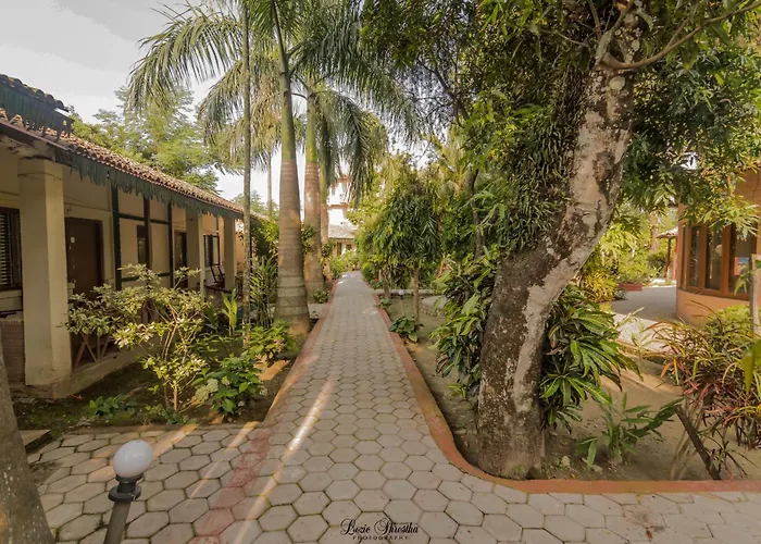 Eden Jungle Resort