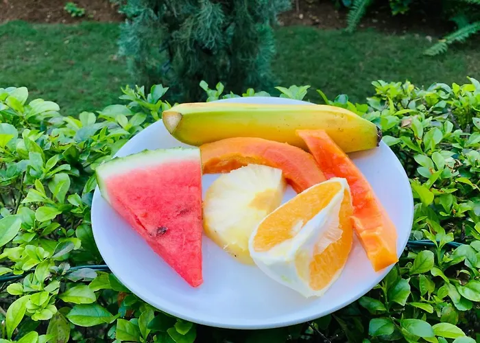 Mynt Retreat Bed & Breakfast Montego Bay