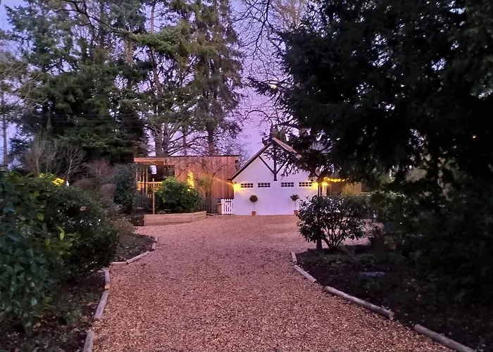 Thatched Eaves Ibsley