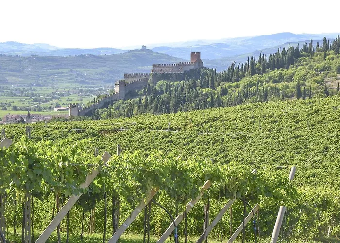 B&B Antique Maison Soave 