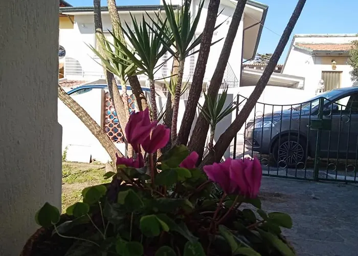 Florinda B&B Viareggio