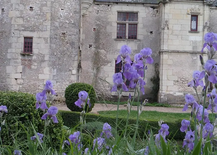 Chateau de Chémery