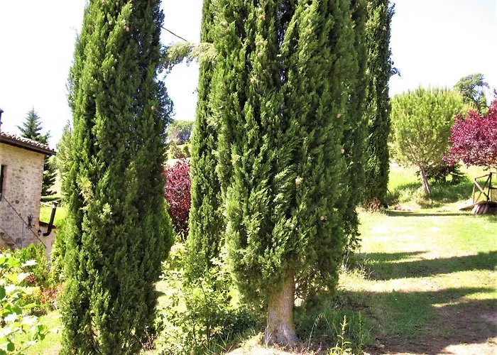 La Pietra Rara B&B Montone 