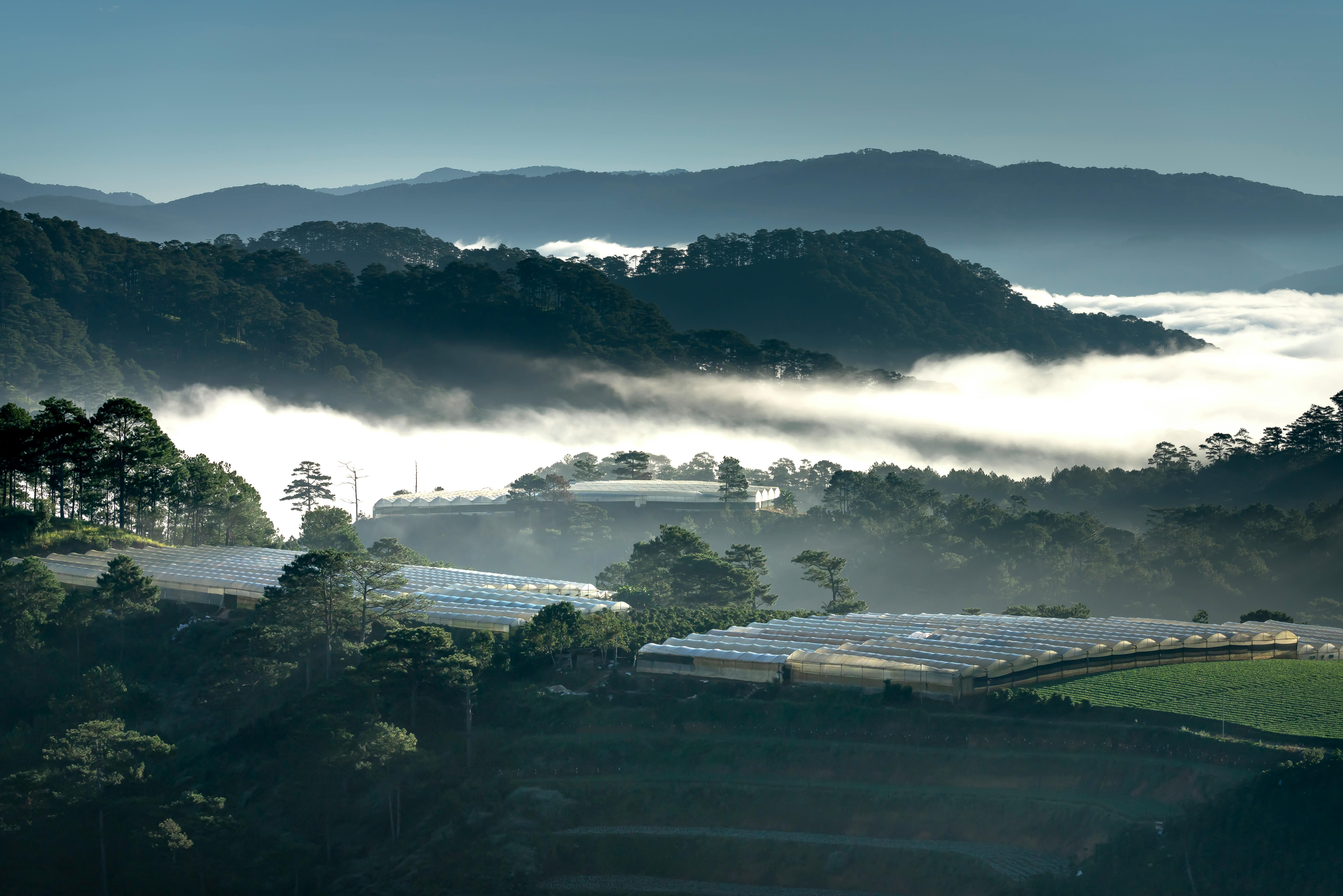 The Lake House Dalat