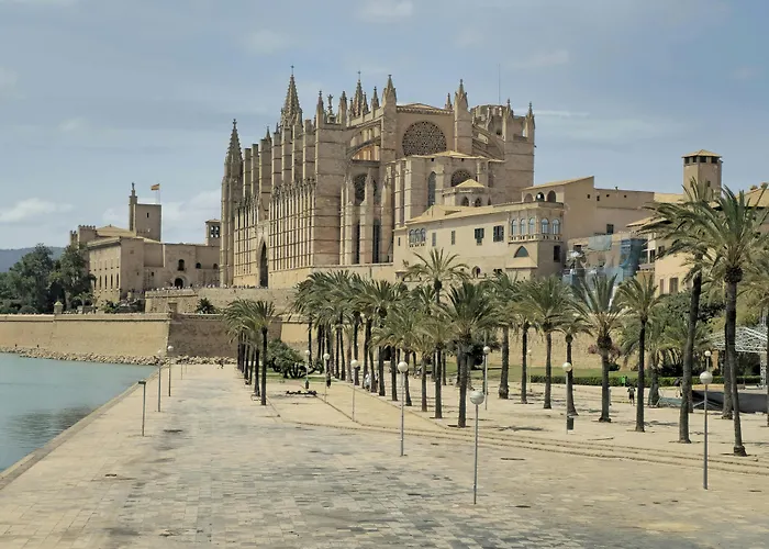 Dog Admiral - Urban Guest House Palma de Mallorca